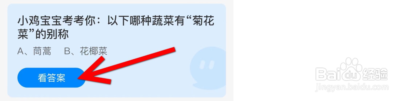 蚂蚁庄园以下哪种蔬菜有“菊花菜”的别称？