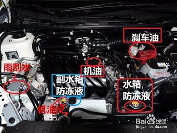 发动机舱下各种油液的添加口在哪里