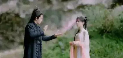 不离 西子褚讲的什么