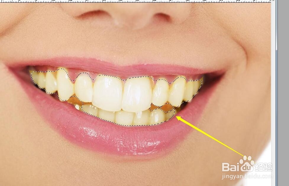 怎样用PS将人物照片中发黄的牙齿变白？