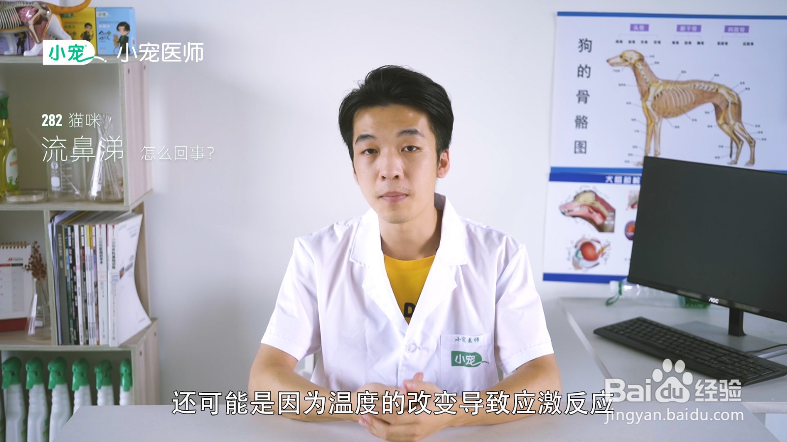 猫咪流鼻涕怎么回事