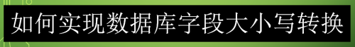 如何实现数据库字段大小写转换