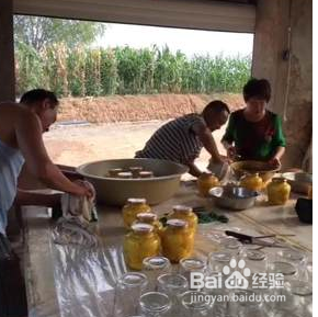 怎样做黄金桃罐头