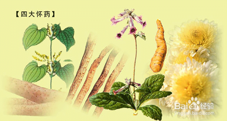 养生国贡之怀山药