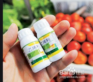 买的桃子不熟怎么催熟