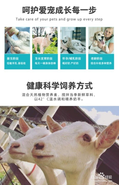 宠物羊奶粉经验分享