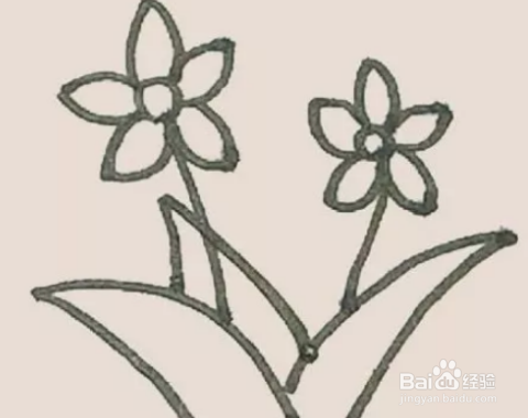 怎么画迷人的水仙花