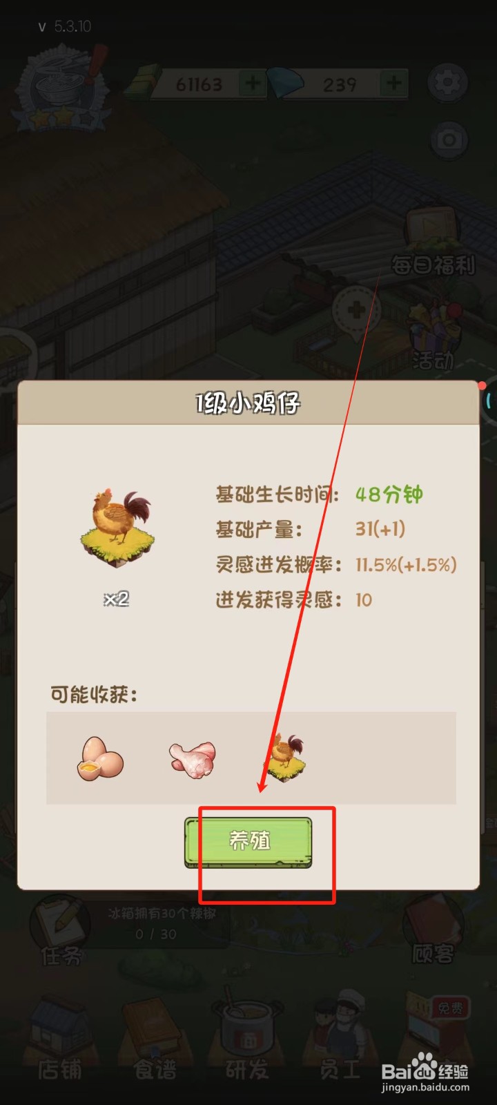 爸爸的面馆中怎样养殖小鸡仔