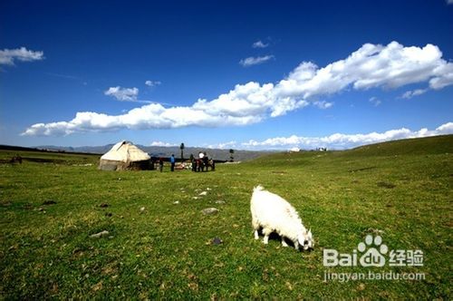 天山深处的绿岛那拉提游记攻略