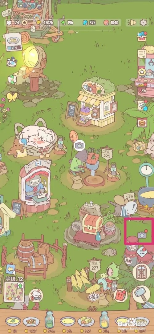 猫咪和汤如何跟猫咪拍照