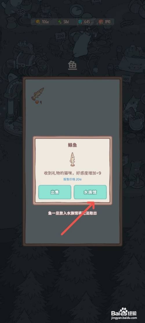 猫咪和汤如何把抓到的鱼放入水族馆