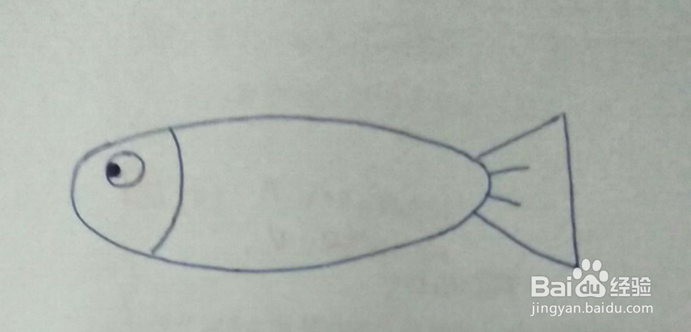 如何画一条鱼?