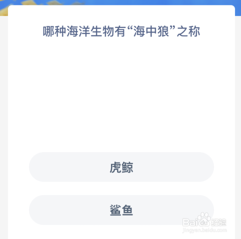 神奇海洋：哪种海洋生物有海中狼之称