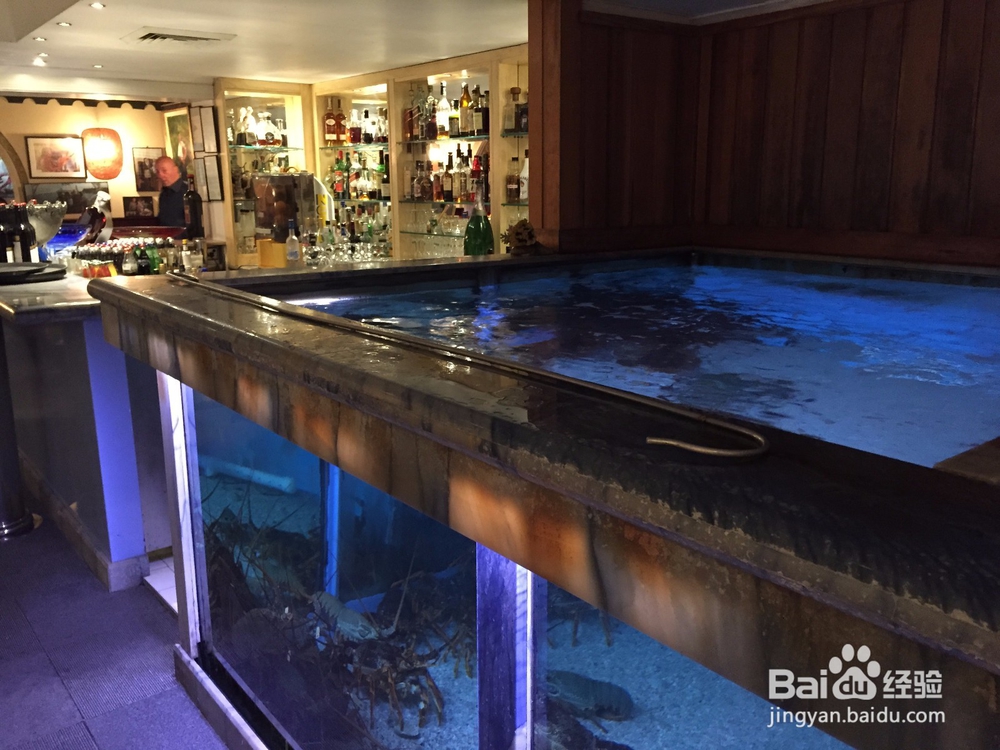 悉尼餐厅推荐 最棒的海鲜体验 Blue Angel