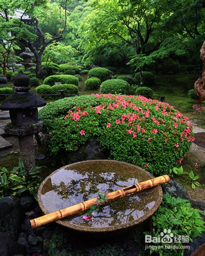 肺气肿饮食注意的事项