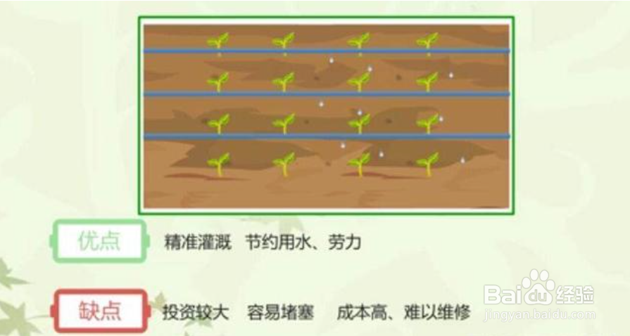 果树 灌水 方法
