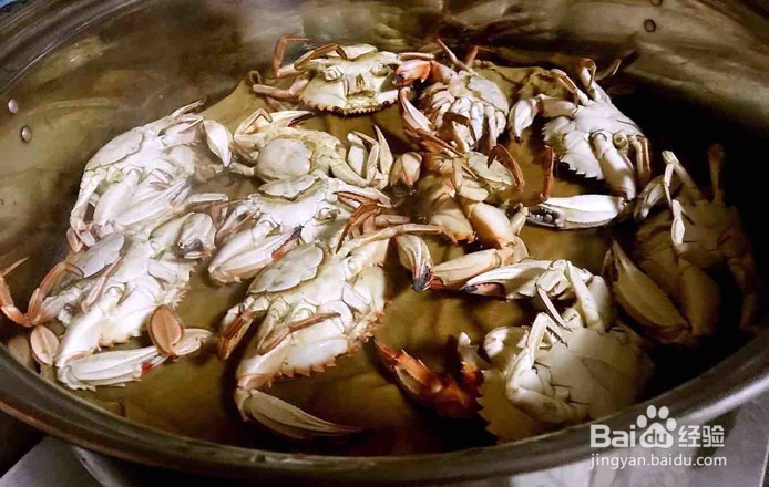 极其美味的清蒸花盖蟹