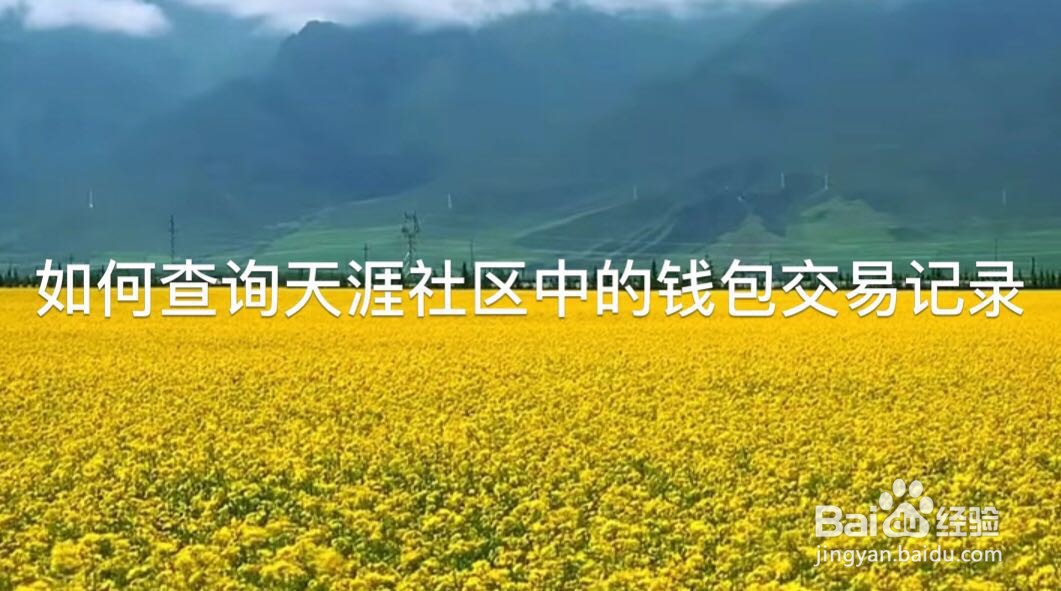 如何查询天涯社区中的钱包交易记录