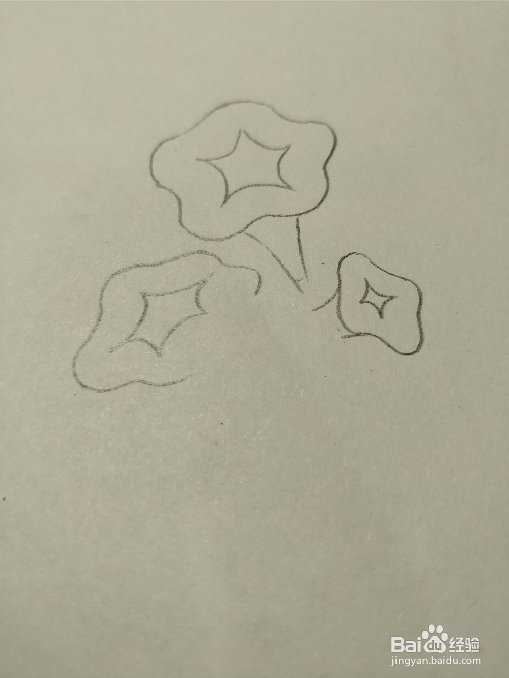 简笔画画卡通牵牛花