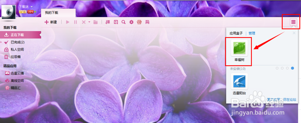 迅雷幸福树如何快速获得阳光值