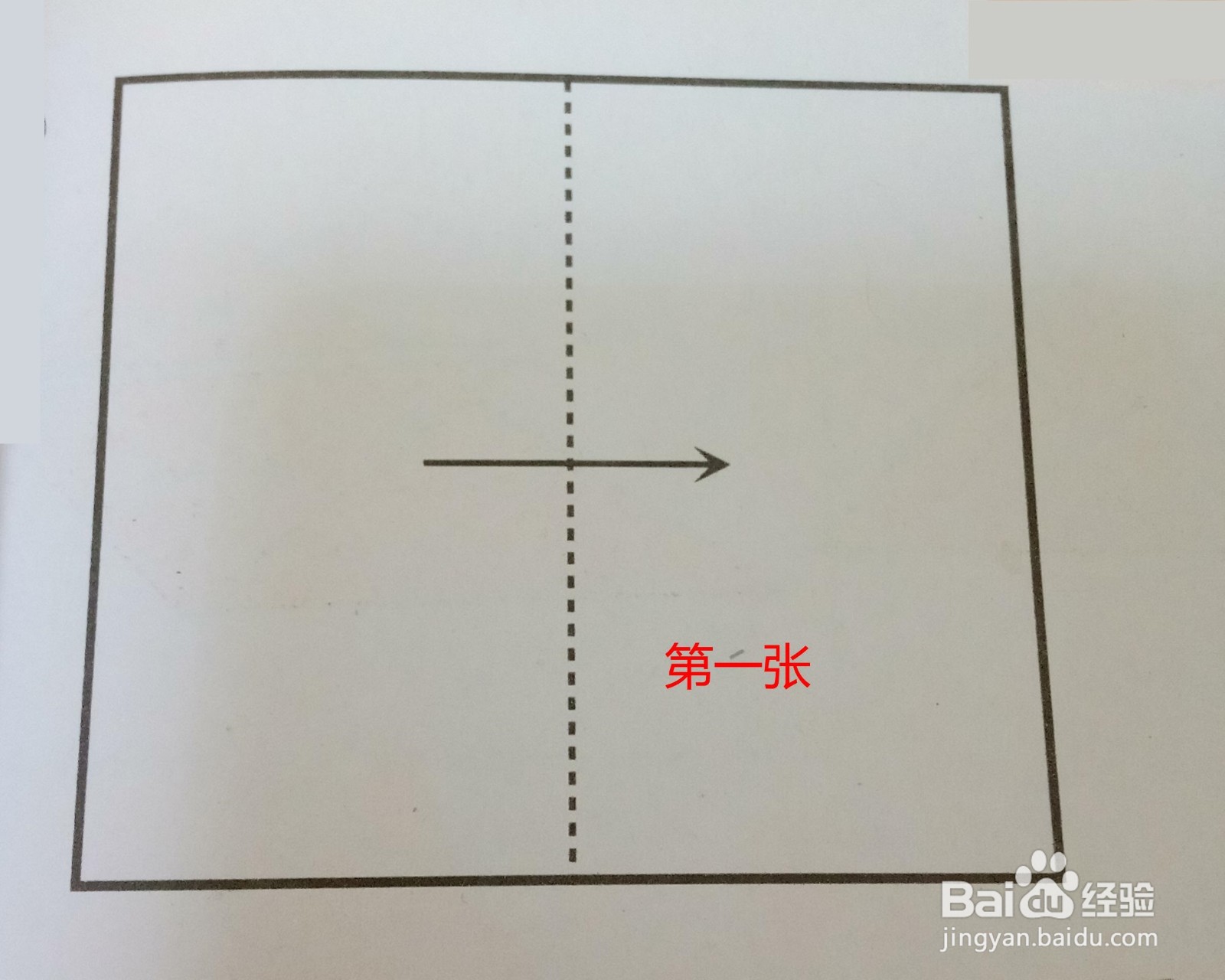 儿童剪纸——一对企鹅纹样