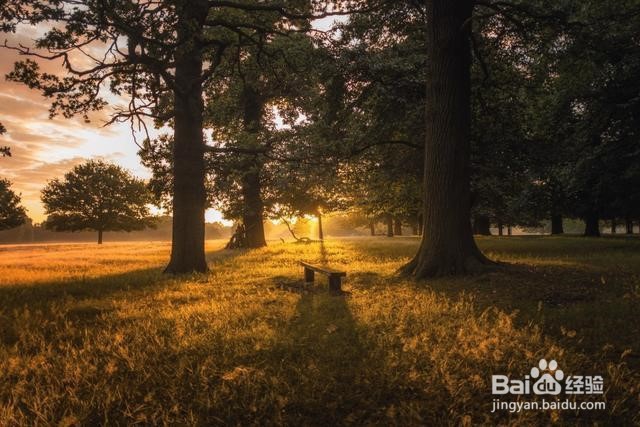 60%的人都不知道的运动小知识