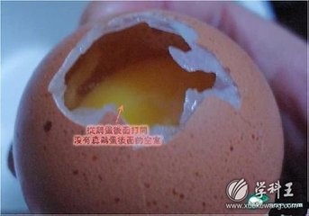 怎样才能快速辨别鸡蛋的好坏