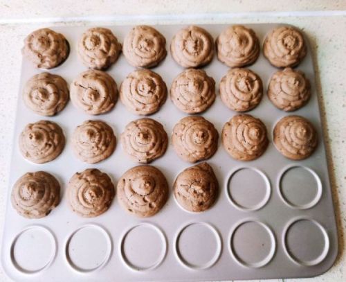 可可黄油便便曲奇饼干