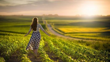 考研报考点填错了怎么办