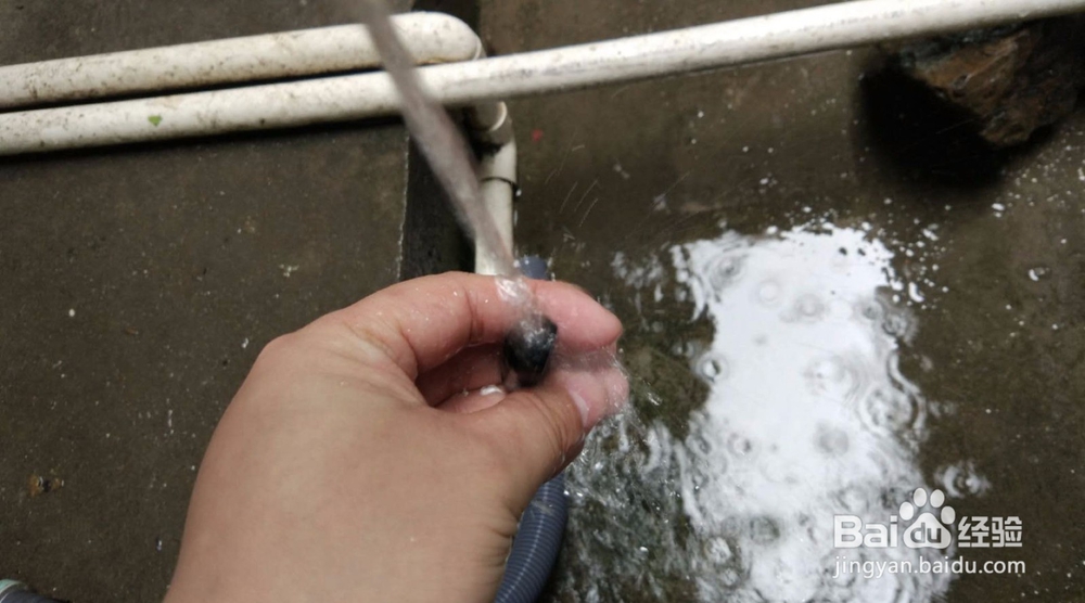 小米手环2怎样清洗污垢