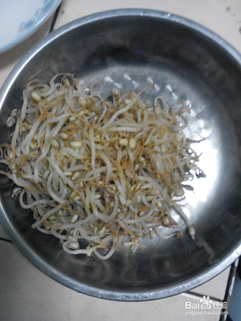 学习快收菜凉拌豆芽