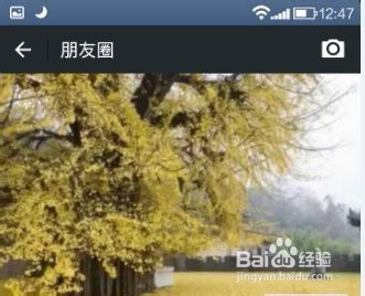 微信如何只发文字不发图片