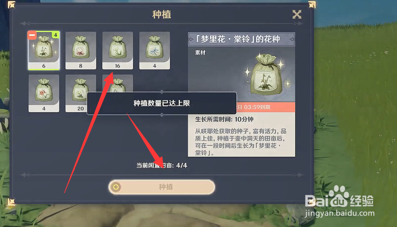 原神梦里生花活动怎么种花