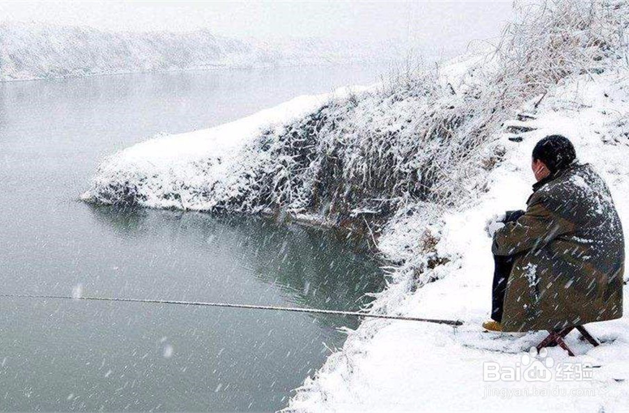 冬季钓鲫鱼要注意什么