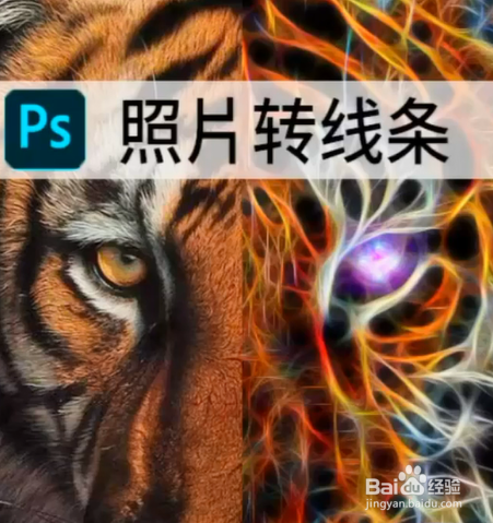 如何使用ps将照片转为线条?