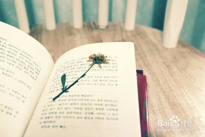 发现弟弟/妹妹早恋怎么办？