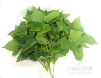 能预防多种疾病的叶子——红薯叶