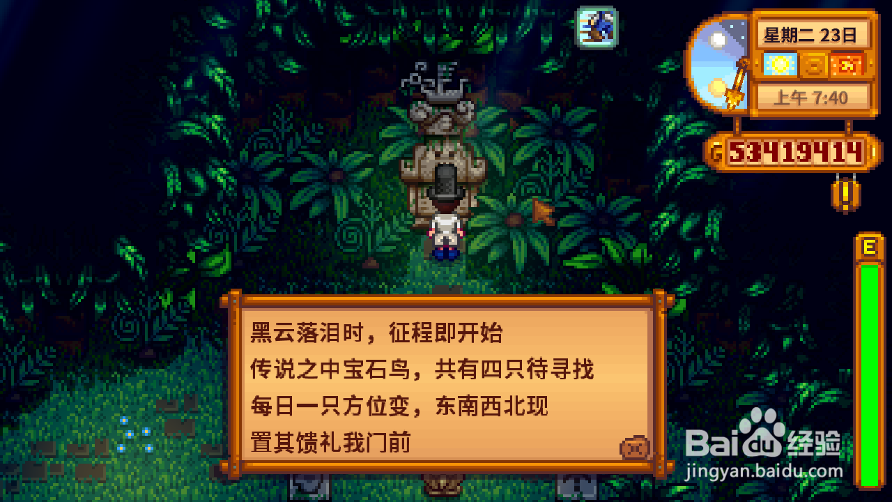 星露谷物语姜岛宝石鸟位置