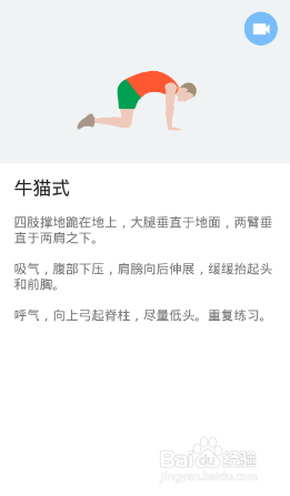 全身7x4挑战(运动:18)(第三周:第15天)