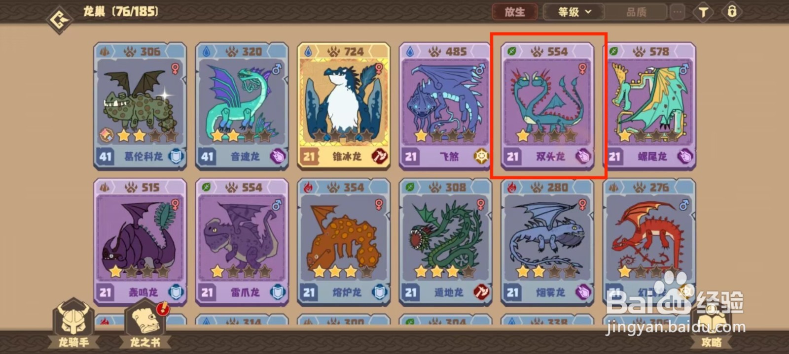 驯龙高手旅程双头龙如何穿戴装备？