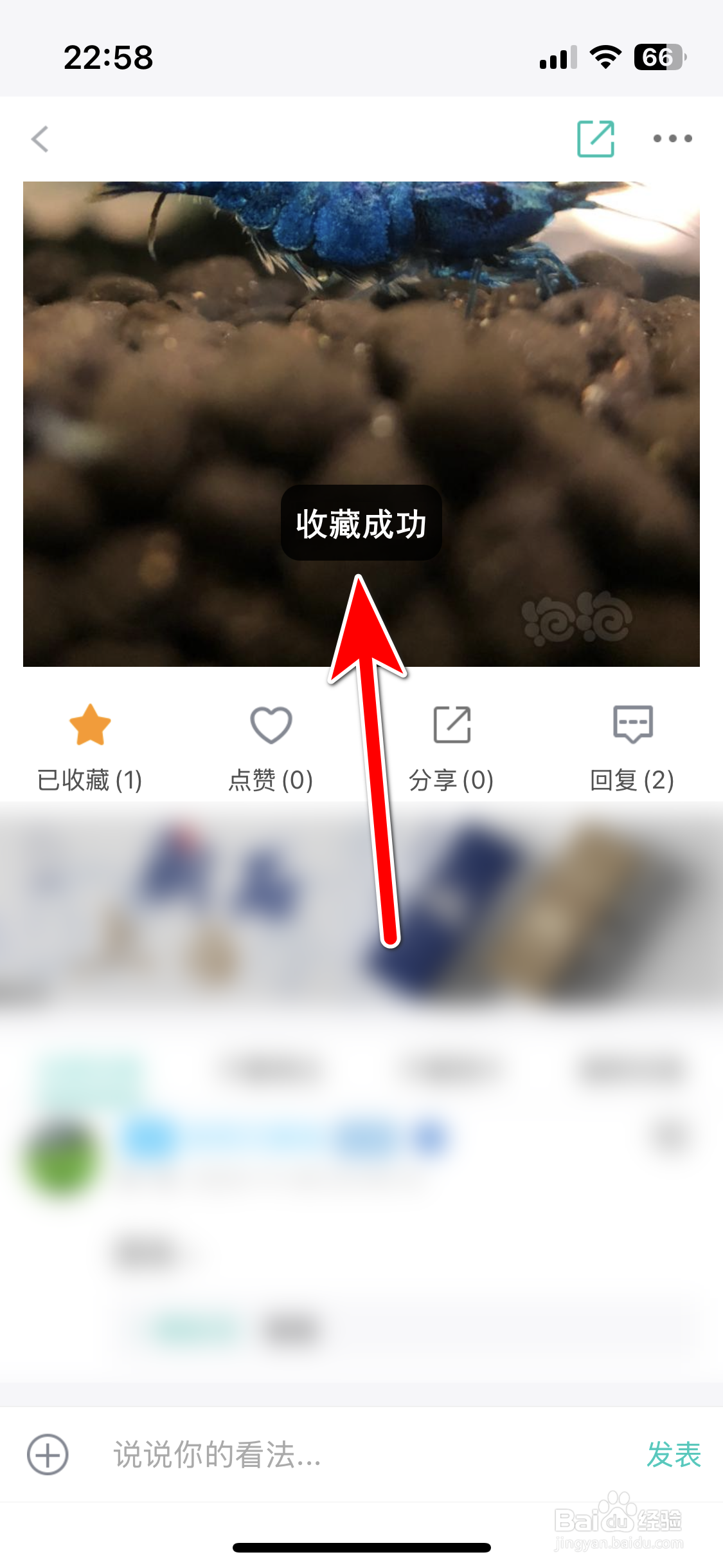 泡泡水族如何收藏动态