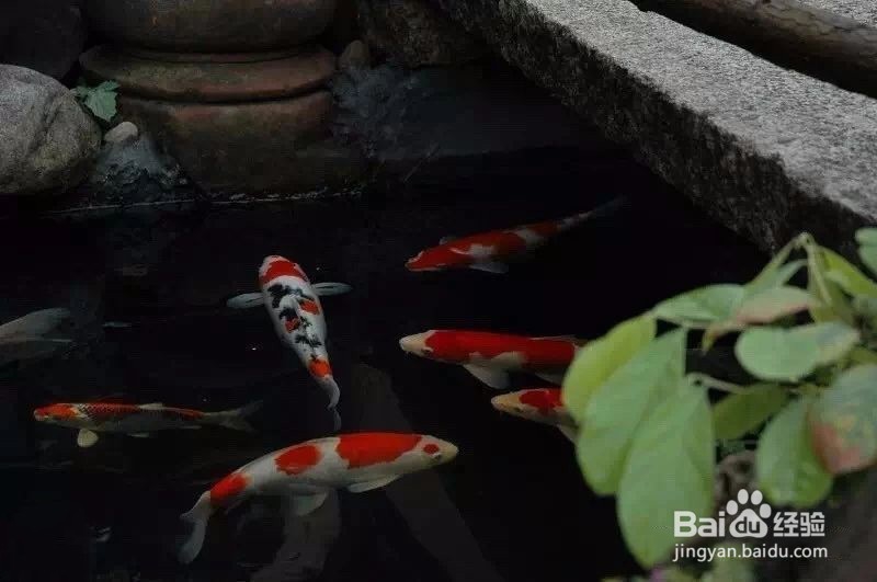 关于GMF的生物膜离子的分离技术