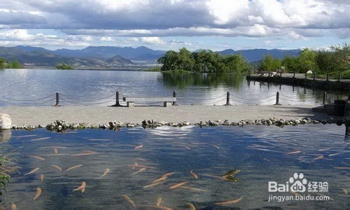 丽江还值得一去的“小景点”