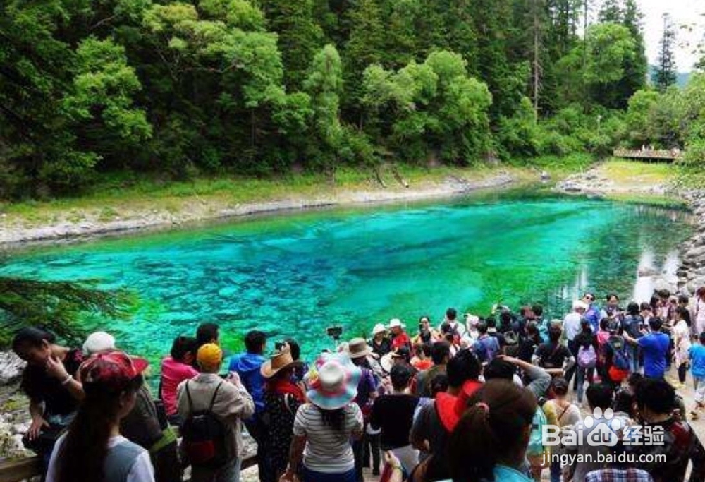 如何提高我们对新型冠状病毒的防御能力