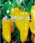 辣椒多姿多样