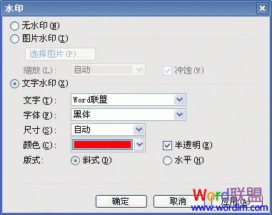 Word2003如何制作添加文字和图片水印
