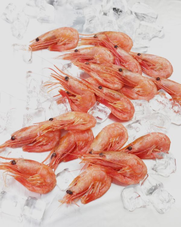 加拿大北极虾冬阴功