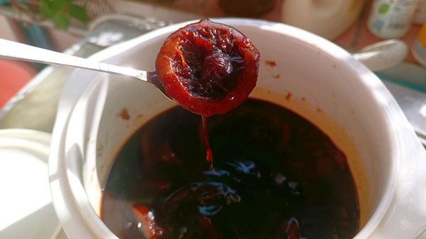 川贝陈皮柠檬膏