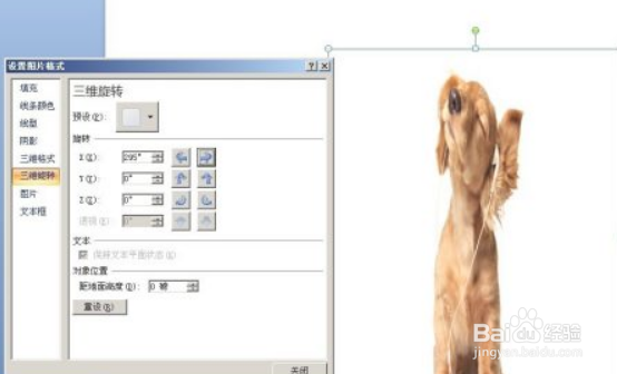 如何在PPT中水平/竖直镜像翻转图片