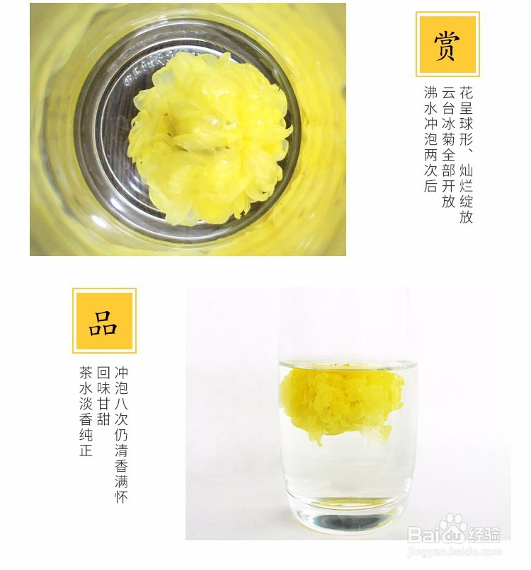 雁门冰菊泡水喝